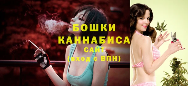 твердый Корсаков