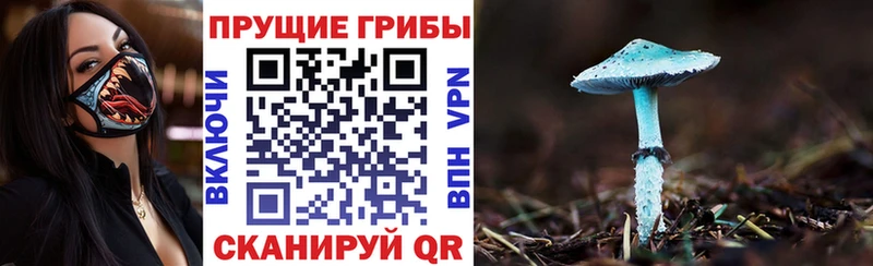 Галлюциногенные грибы мухоморы  купить закладку  Евпатория 